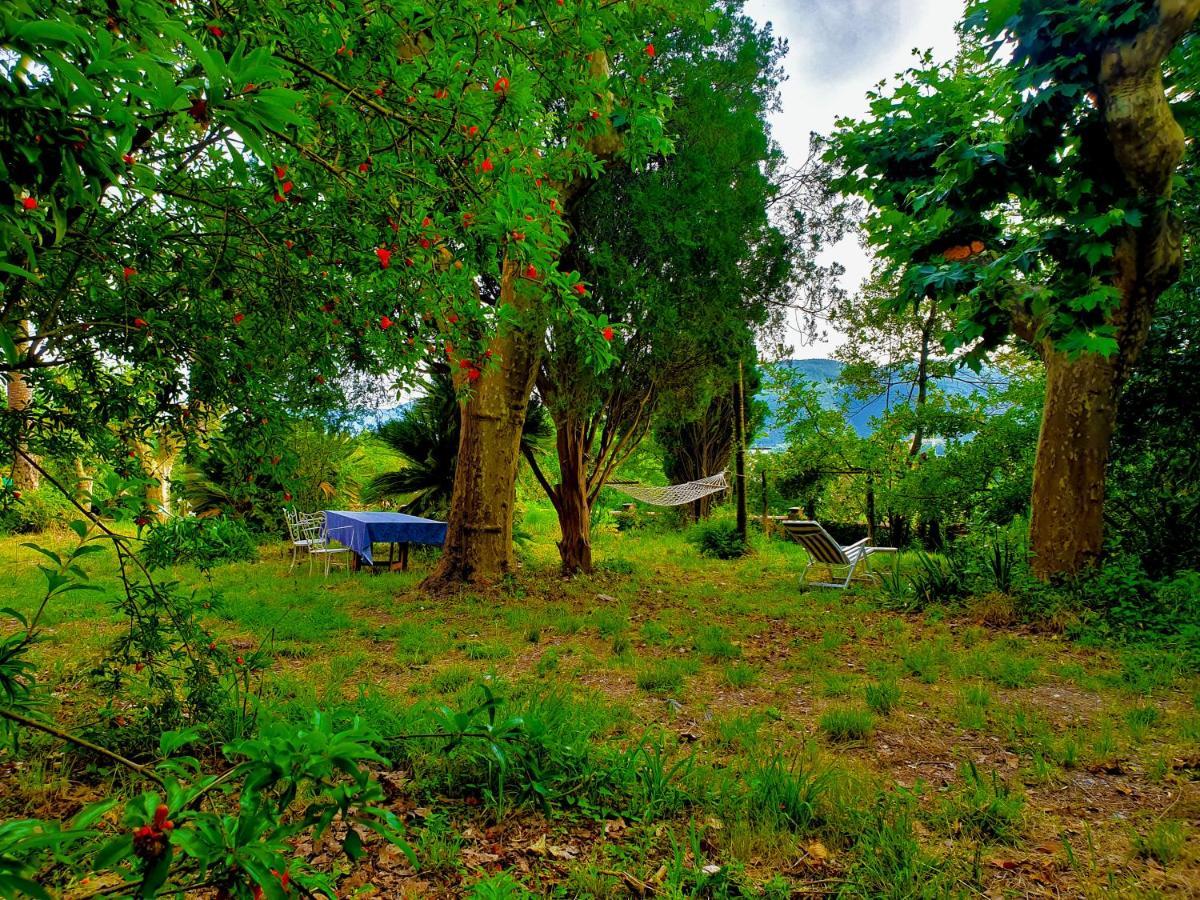 Villa De Benedetti Sarzana Kültér fotó
